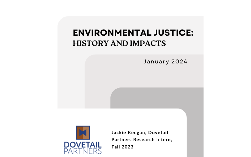 Environmental Justice: History and Impacts